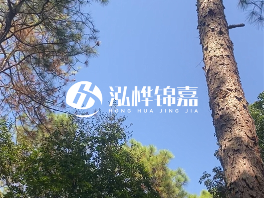 松木樁廠家泓樺錦嘉可以實地考察嗎？需要提前預(yù)約嗎？